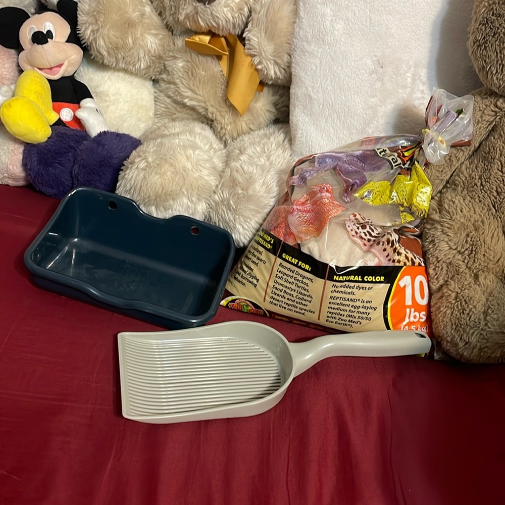 Desert white sand and the blue thing is where you put the sand for your hamster